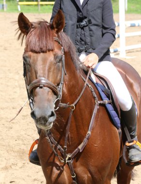 Yaz mevsiminde, atlama yarışında yarışan bilinmeyen bir yarışmacı. Atlayan atı eyer altında göster