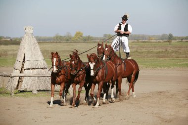 PUSZTA, HUNGARY, Eylül, 04. 2020: Geleneksel halk kostümlü Macar kaçıklar eğitimli beş atını gösteriyor. Macaristan 'da geleneksel at gösterisi. Eylül 04. 2020, Macaristan Doğu