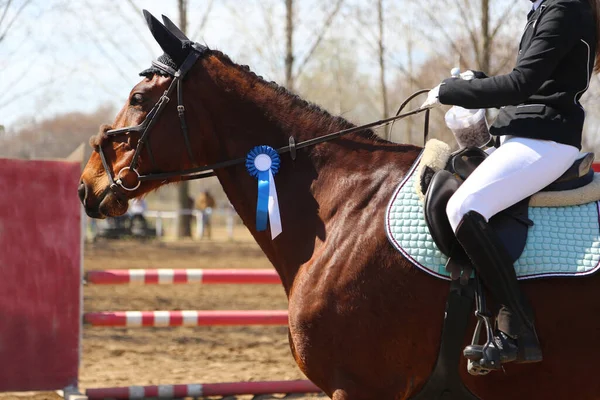 Paardrijden Banner Voor Website Tijdschrift Illustratie Foto Van Paardensport Competitie — Stockfoto