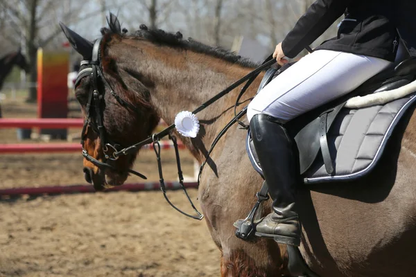 Horse riding  banner for website or magazine illustration. Photo of equestrian competition as a show jumping background