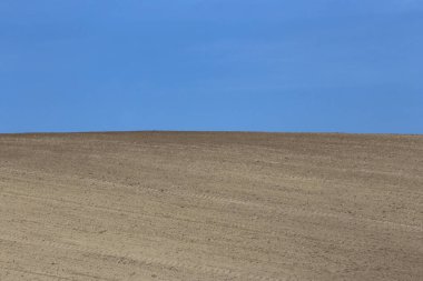 İlkbahar kırsal kesiminde ekilmiş tarım arazisi arka plan olarak kullanılıyor.
