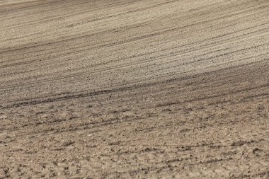Yakın zamanda ekin için sürülen, yamaçtaki tarım arazisi. 