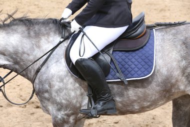 Yaz mevsiminde, atlama yarışında yarışan bilinmeyen bir yarışmacı. Atlayan atı eyer altında eylem halinde göster