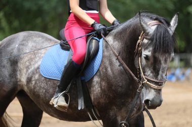 Yaz mevsiminde, atlama yarışında yarışan bilinmeyen bir yarışmacı. Atlayan atı eyer altında eylem halinde göster
