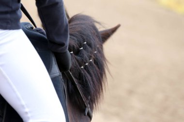Yaz mevsiminde, atlama yarışında yarışan bilinmeyen bir yarışmacı. Atlayan atı eyer altında eylem halinde göster