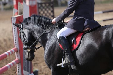 Yaz mevsiminde, atlama yarışında yarışan bilinmeyen bir yarışmacı. Atlayan atı eyer altında eylem halinde göster