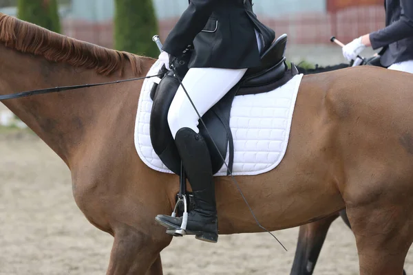 Desconocido Competidor Montar Caballo Puente Espectáculo Evento Equitación Hora Verano — Foto de Stock