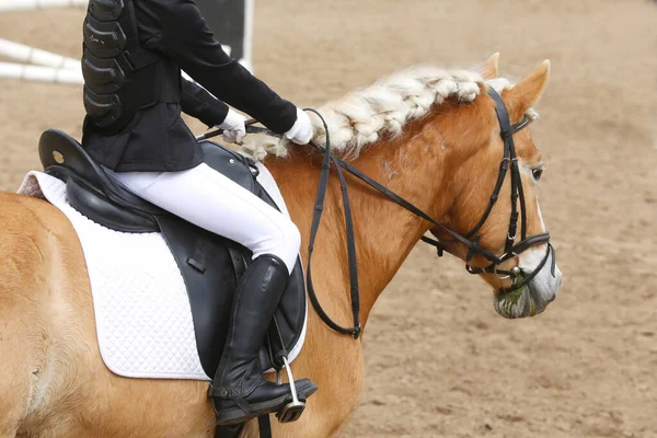 Desconocido Competidor Montar Caballo Puente Espectáculo Evento Equitación Hora Verano — Foto de Stock