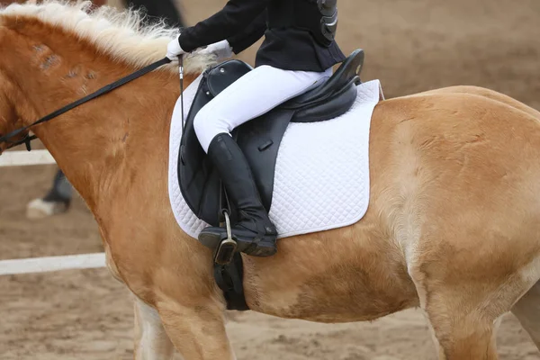 Desconhecido Competidor Montando Show Jumper Cavalo Evento Equitação Hora Verão — Fotografia de Stock