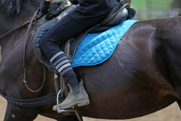 不为人知的选手骑着跳马参加夏季的马术比赛 表演鞍下跳马的动作 — 图库照片