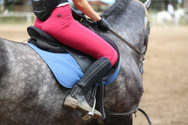 Desconocido Competidor Montar Caballo Puente Espectáculo Evento Equitación Hora Verano —  Fotos de Stock