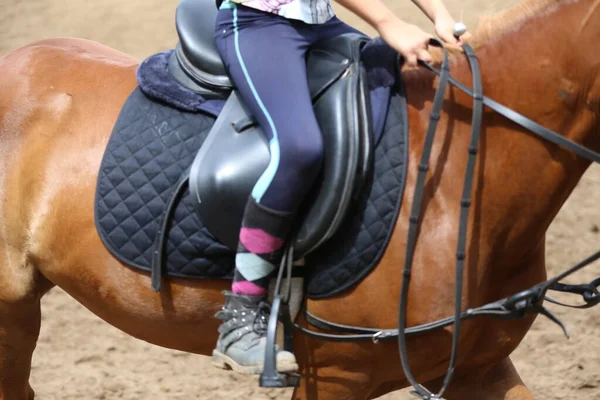 Desconocido Competidor Montar Caballo Puente Espectáculo Evento Equitación Hora Verano — Foto de Stock