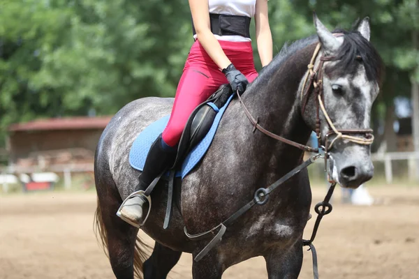 方程式イベント夏時間のショージャンパー馬に乗って未知の競合他社 鞍の下にジャンプ馬を表示します — ストック写真