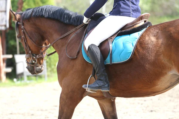 Άγνωστος Ανταγωνιστής Ιππασία Show Jumper Άλογο Ιππασία Εκδήλωση Καλοκαίρι Εμφάνιση — Φωτογραφία Αρχείου