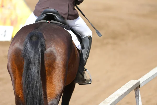 Άγνωστος Ανταγωνιστής Ιππασία Show Jumper Άλογο Ιππασία Εκδήλωση Καλοκαίρι Εμφάνιση — Φωτογραφία Αρχείου