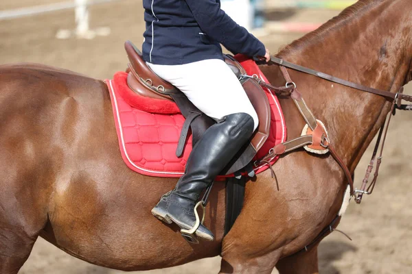 Desconocido Competidor Montar Caballo Puente Espectáculo Evento Equitación Hora Verano — Foto de Stock