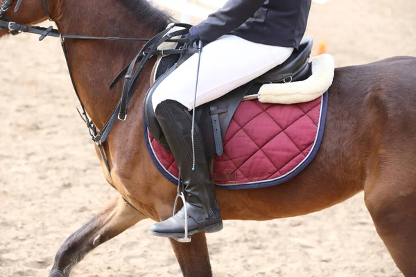 Yaz mevsiminde, atlama yarışında yarışan bilinmeyen bir yarışmacı. Atlayan atı eyer altında eylem halinde göster