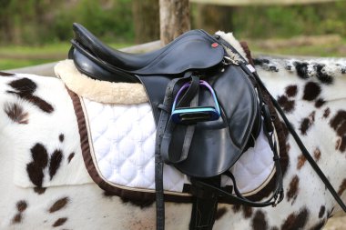 Atın arkasında kahverengi bir deri eyer ve eyer bezi giyilir. Güneş ışığıyla aydınlatılan açık havada binicilik eğitimi için hazır.