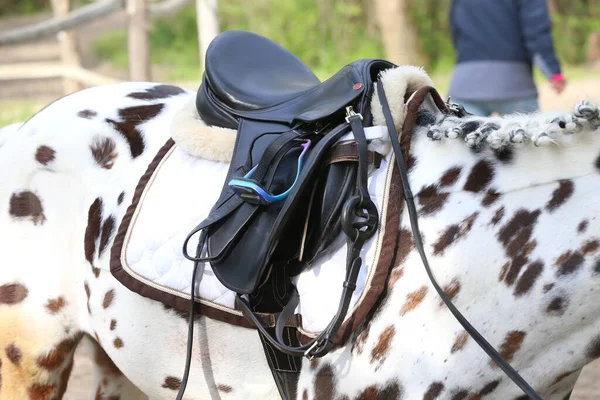 馬の背には茶色の革の鞍と鞍の布が上に着用されている 乗馬訓練の屋外の準備ができて日光に照らされた — ストック写真