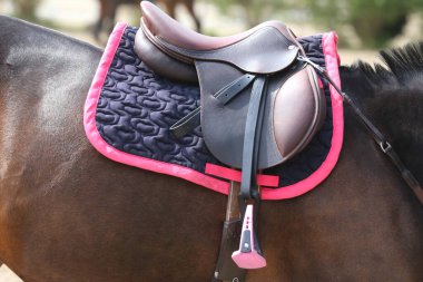 Atın arkasında kahverengi bir deri eyer ve eyer bezi giyilir. Güneş ışığıyla aydınlatılan açık havada binicilik eğitimi için hazır.
