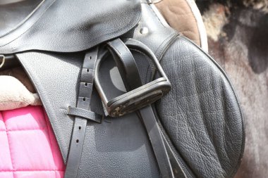 Atın arkasında kahverengi bir deri eyer ve eyer bezi giyilir. Güneş ışığıyla aydınlatılan açık havada binicilik eğitimi için hazır.