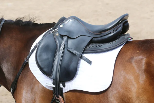 Sur Dos Cheval Une Selle Cuir Marron Tissu Selle Sont — Photo