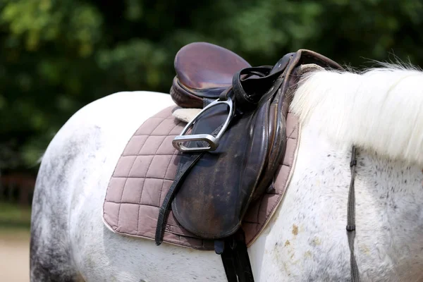 Parte Trás Cavalo Uma Sela Couro Marrom Pano Sela São — Fotografia de Stock