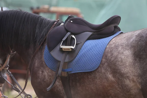 Achterkant Van Het Paard Worden Een Bruin Lederen Zadel Zadeldoek — Stockfoto