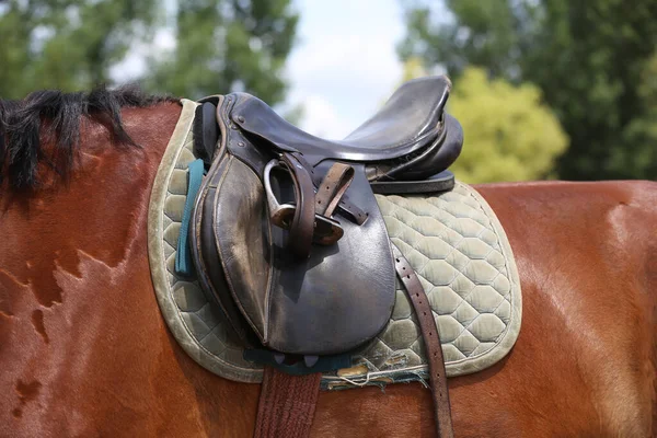 Back Horse Brown Leather Saddle Saddle Cloth Worn Top Illuminated — Stock Photo, Image