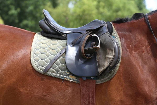 Sur Dos Cheval Une Selle Cuir Marron Tissu Selle Sont — Photo