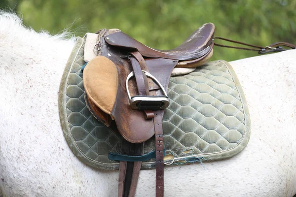 Back Horse Brown Leather Saddle Saddle Cloth Worn Top Illuminated — Stock Photo, Image