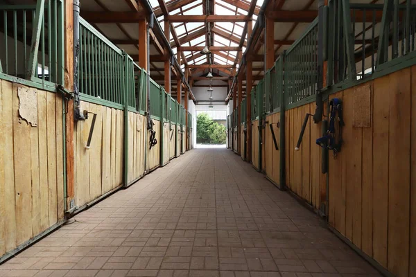 Modern Clear Stable Barn Horse Boxes Passageway View Natural Light — Stock Photo, Image