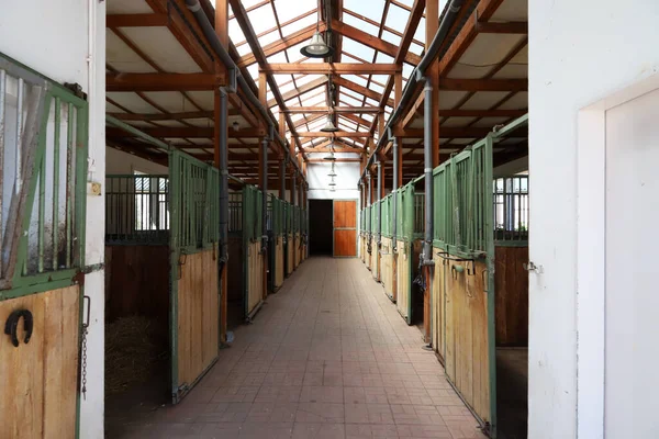 Dentro Estábulo Claro Moderno Celeiro Com Caixas Cavalo Visão Passagem — Fotografia de Stock