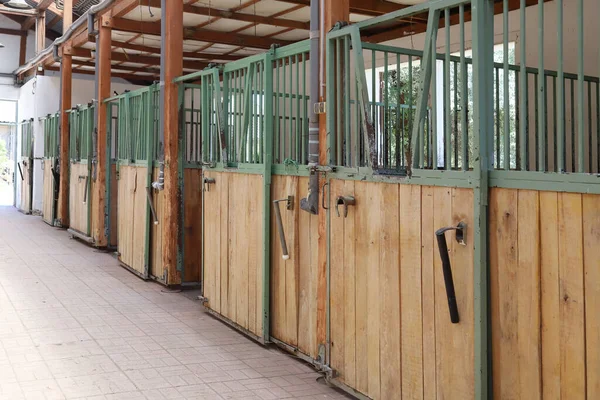 Dentro Estábulo Claro Moderno Celeiro Com Caixas Cavalo Visão Passagem — Fotografia de Stock