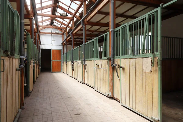 Modernen Übersichtlichen Stall Oder Stall Mit Pferdeboxen Passage Ansicht Natürlichem — Stockfoto