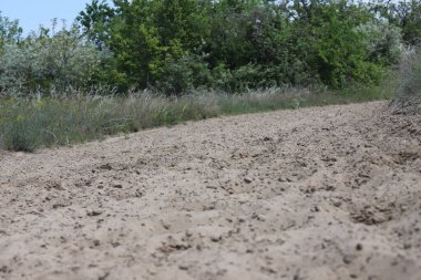 Boş kumlu dörtnala koşmak günlük at eğitimi için iyi bir katkı.