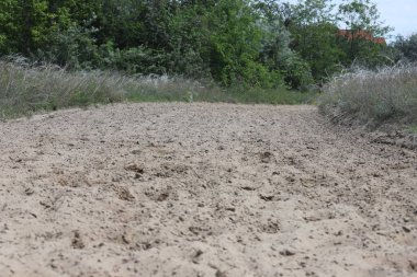 Boş kumlu dörtnala koşmak günlük at eğitimi için iyi bir katkı.