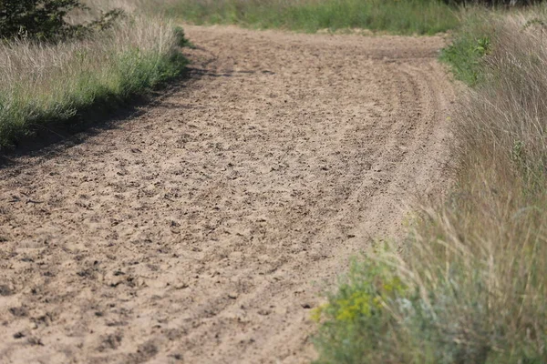 Empty Sandy Gallop Track Good Addition Everyday Horse Training — Stock Photo, Image