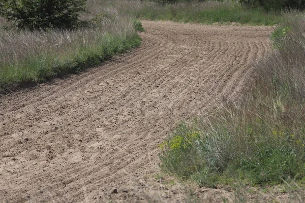 Empty Sandy Gallop Track Good Addition Everyday Horse Training — Stock Photo, Image