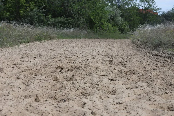 Empty Sandy Gallop Track Good Addition Everyday Horse Training — Stock Photo, Image