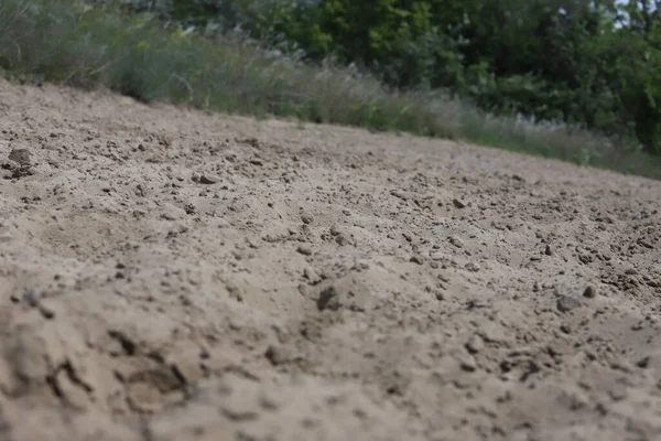 Empty Sandy Gallop Track Good Addition Everyday Horse Training — Stock Photo, Image