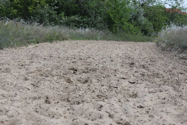 Empty Sandy Gallop Track Good Addition Everyday Horse Training — Stock Photo, Image