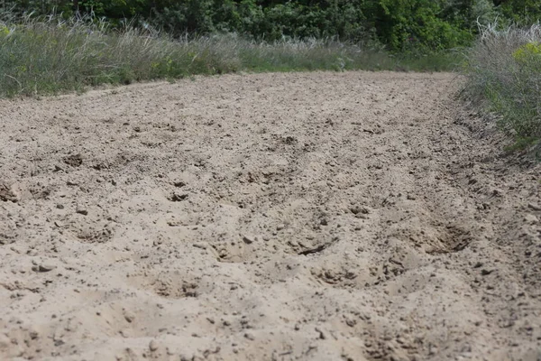 Empty Sandy Gallop Track Good Addition Everyday Horse Training — Stock Photo, Image