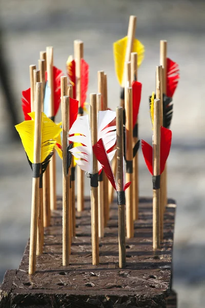 Bow arrows closeup — Stock Photo, Image