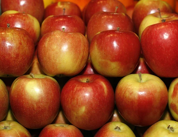 Groep van rode appels in rij — Stockfoto