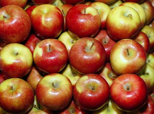 Grupo de maçãs vermelhas em linha — Fotografia de Stock
