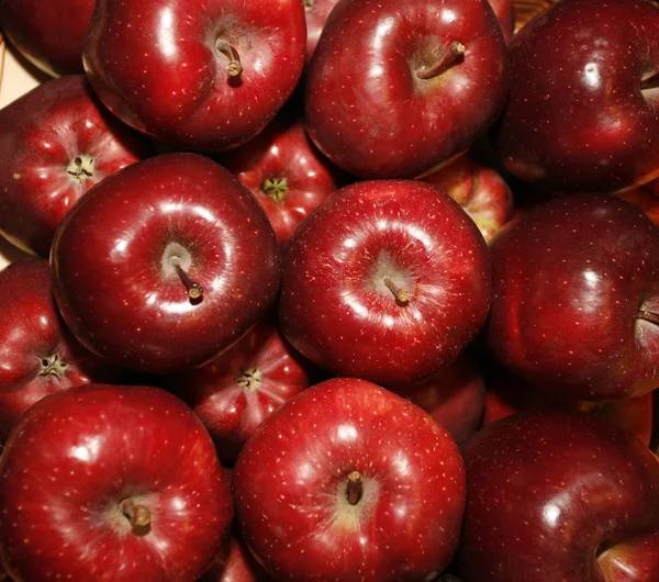 Grupp av röda äpplen i rad — Stockfoto