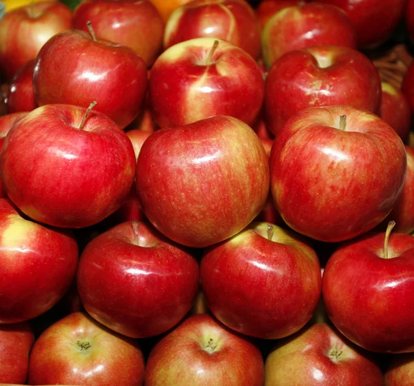 Groep van rode appels in rij — Stockfoto