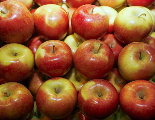 Groep van rode appels in rij — Stockfoto