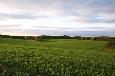 Kimse dışarıda düz kırsal sahne arka plan